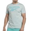 Reebok t-shirt seledynowy bawełniany męski koszulka duży napis